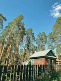 A rustic cabin nestled among tall pine trees under a bright blue sky.