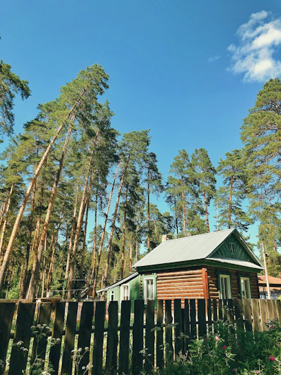 Cozy rustic cottage nestled among tall pine trees under a clear blue sky.