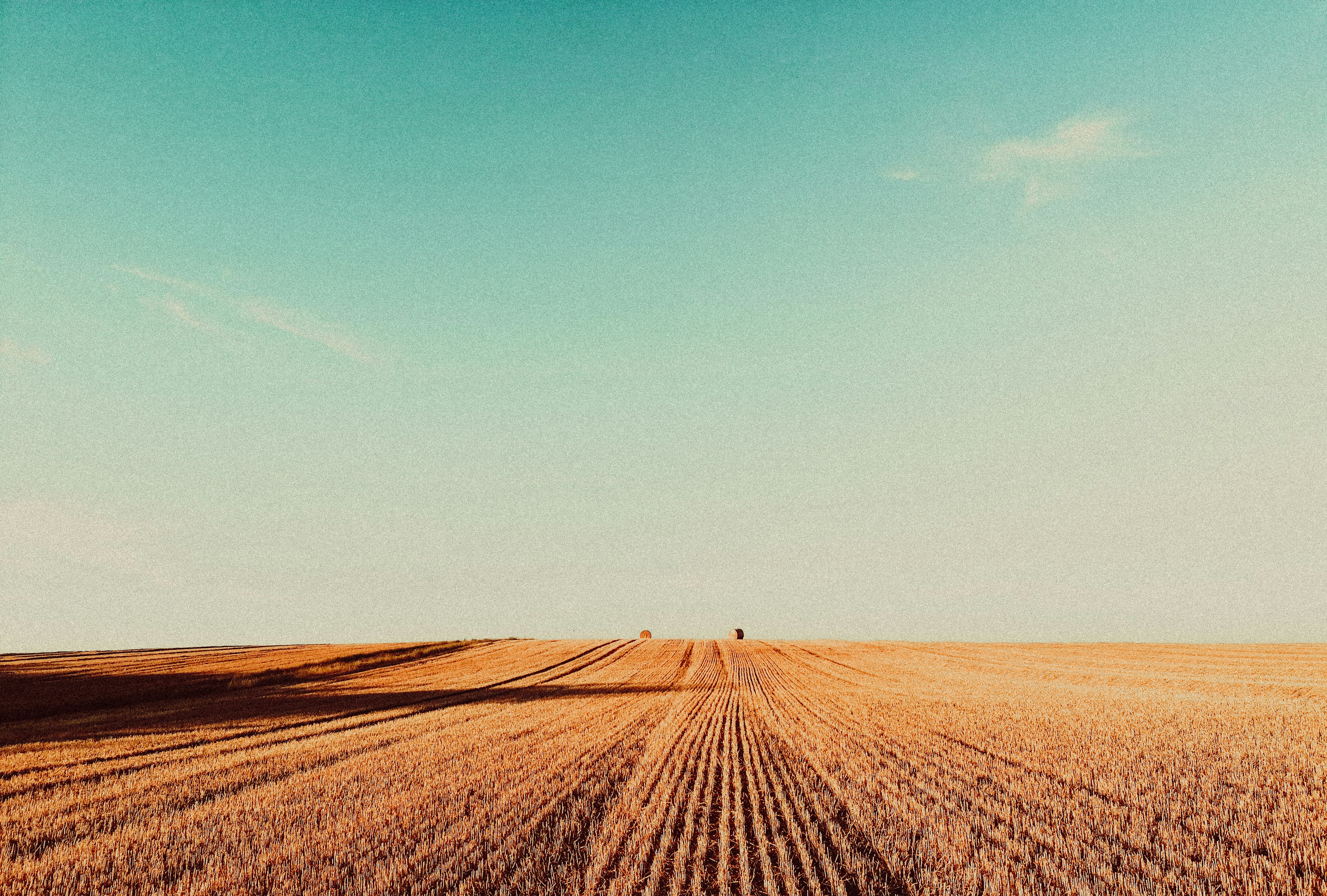 Photo by sindy_suessengut