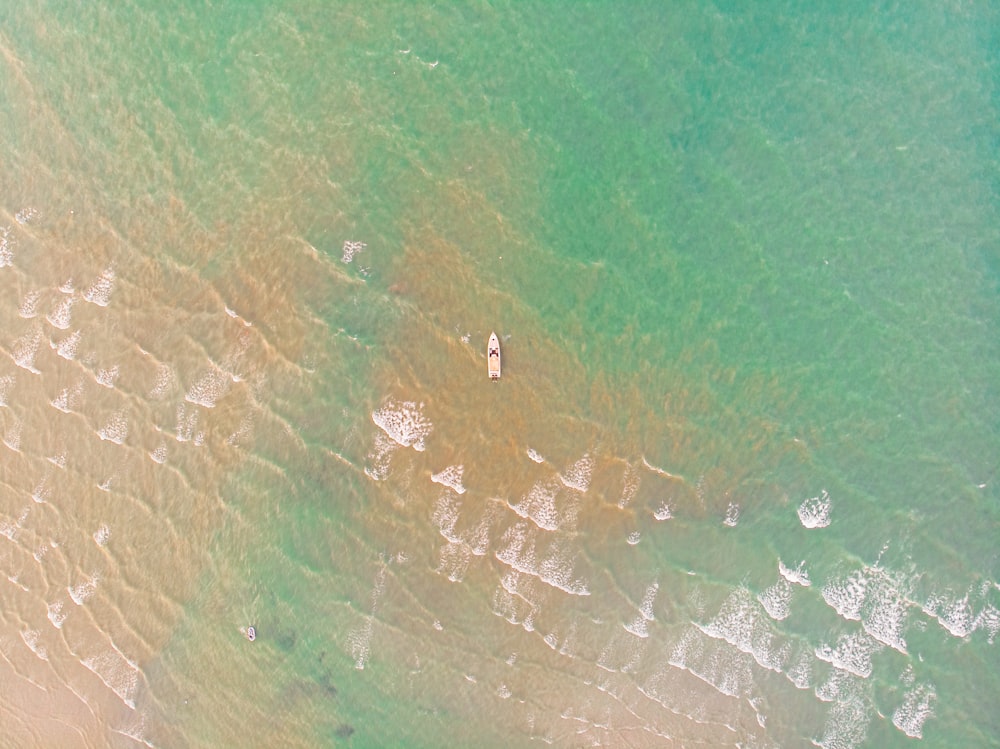 aerial view of green sea during daytime