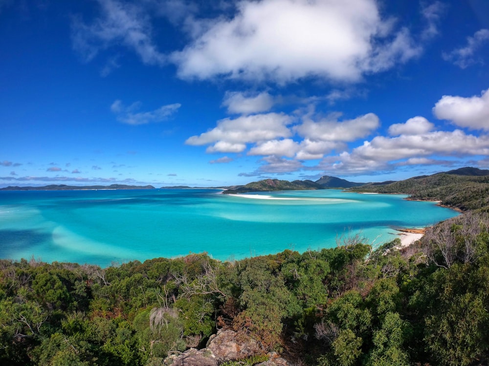 green trees near blue body of water under blue sky during daytime