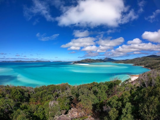 green trees near blue body of water under blue sky during daytime in Whitehaven Beach Australia