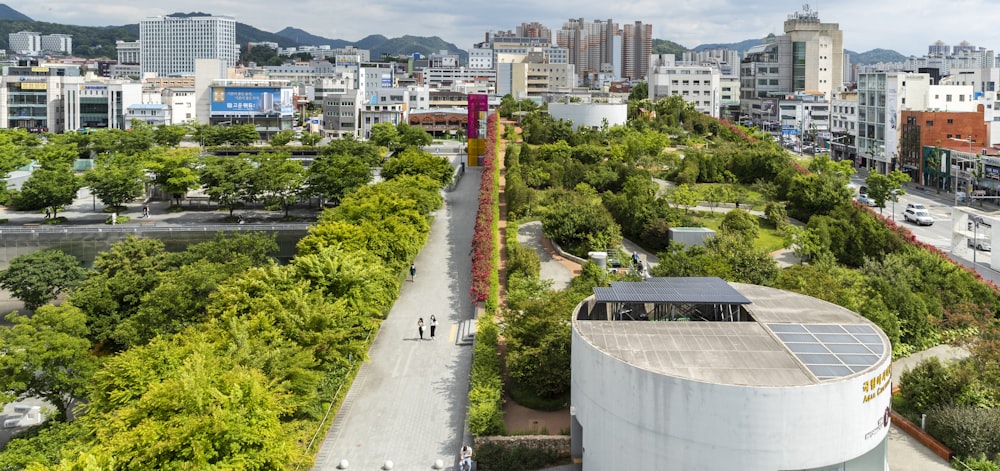 green trees near city buildings during daytime