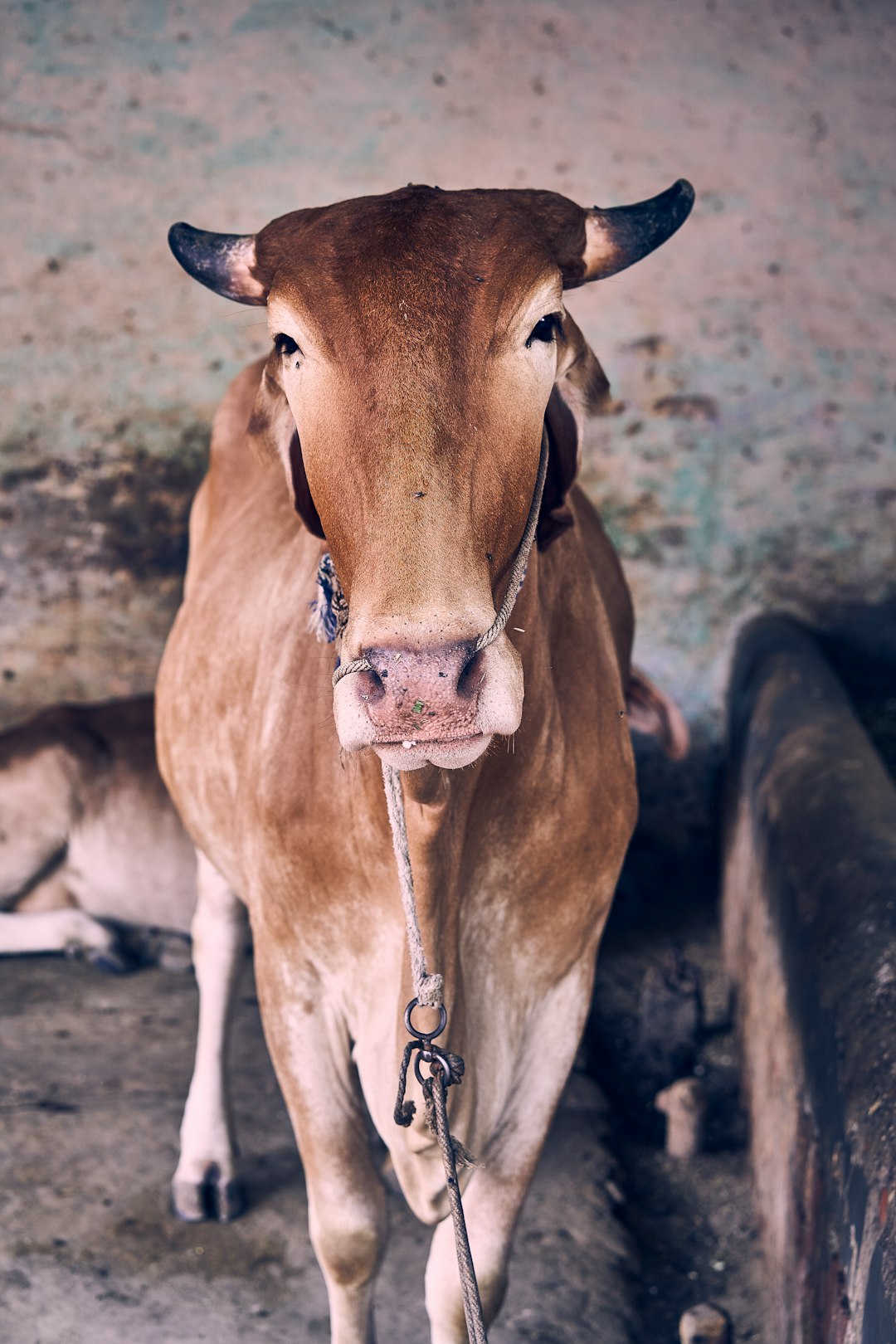 Wildlife photo spot Bhalsona Hauz Khas Village