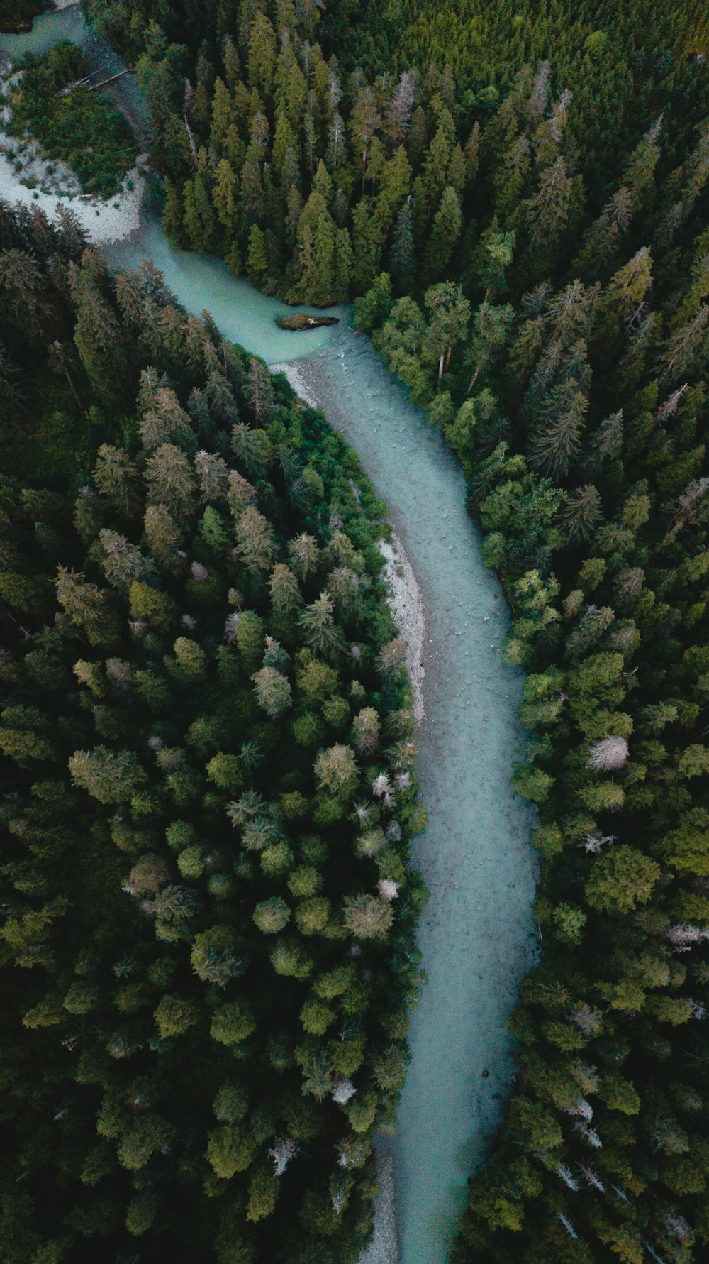 aerial view of river in between green trees during daytime