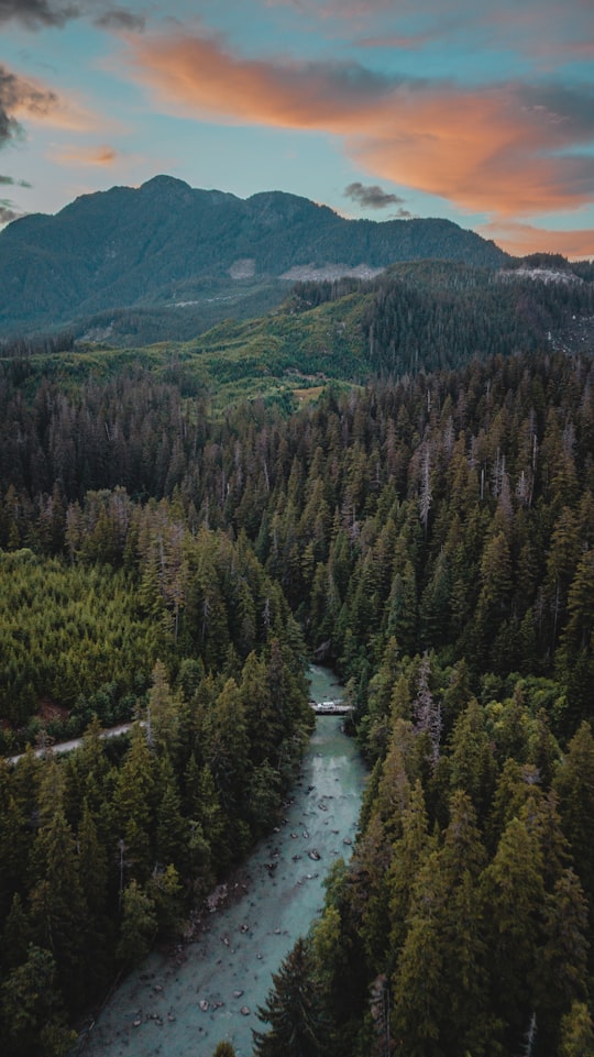 green trees near river during daytime in Kitimat Canada