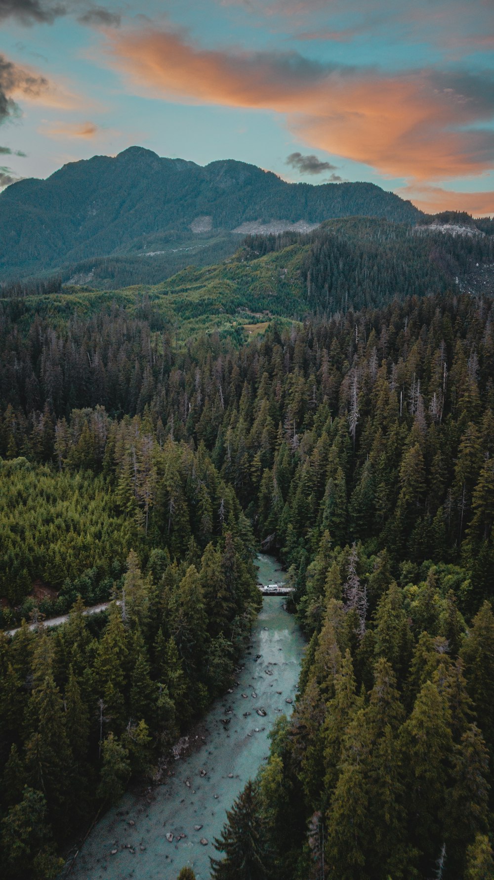 green trees near river during daytime