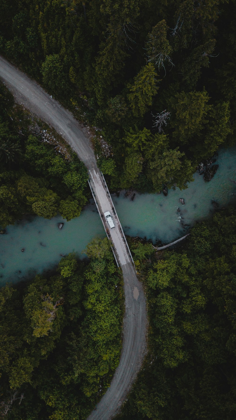 aerial view of green trees and lake