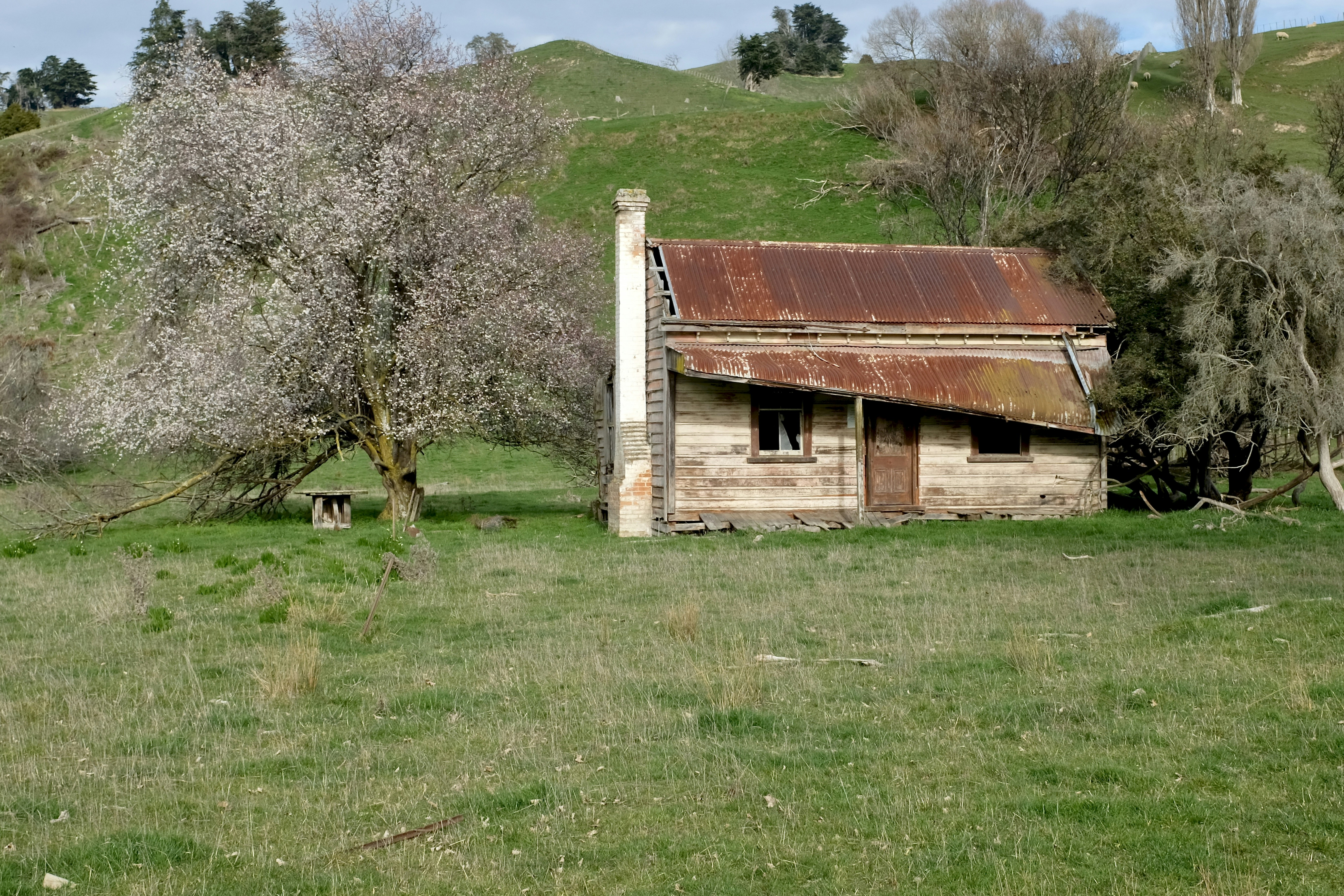 brown wooden house on green grass field during daytime colonial teams background
