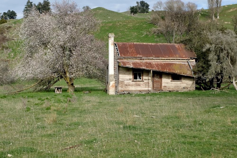 Braunes Holzhaus auf grünem Rasenfeld tagsüber