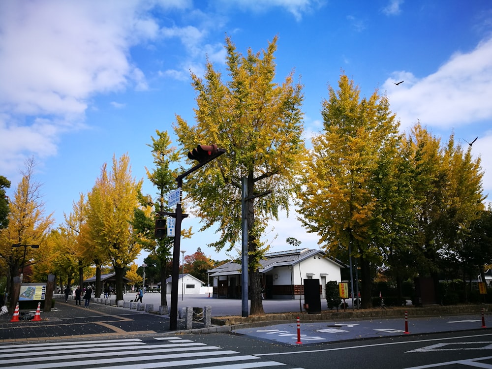 white and black house near green trees under blue sky during daytime