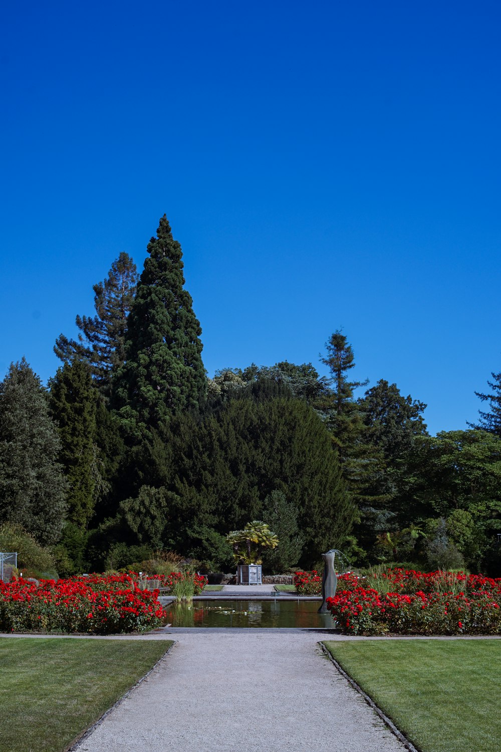 green trees under blue sky during daytime