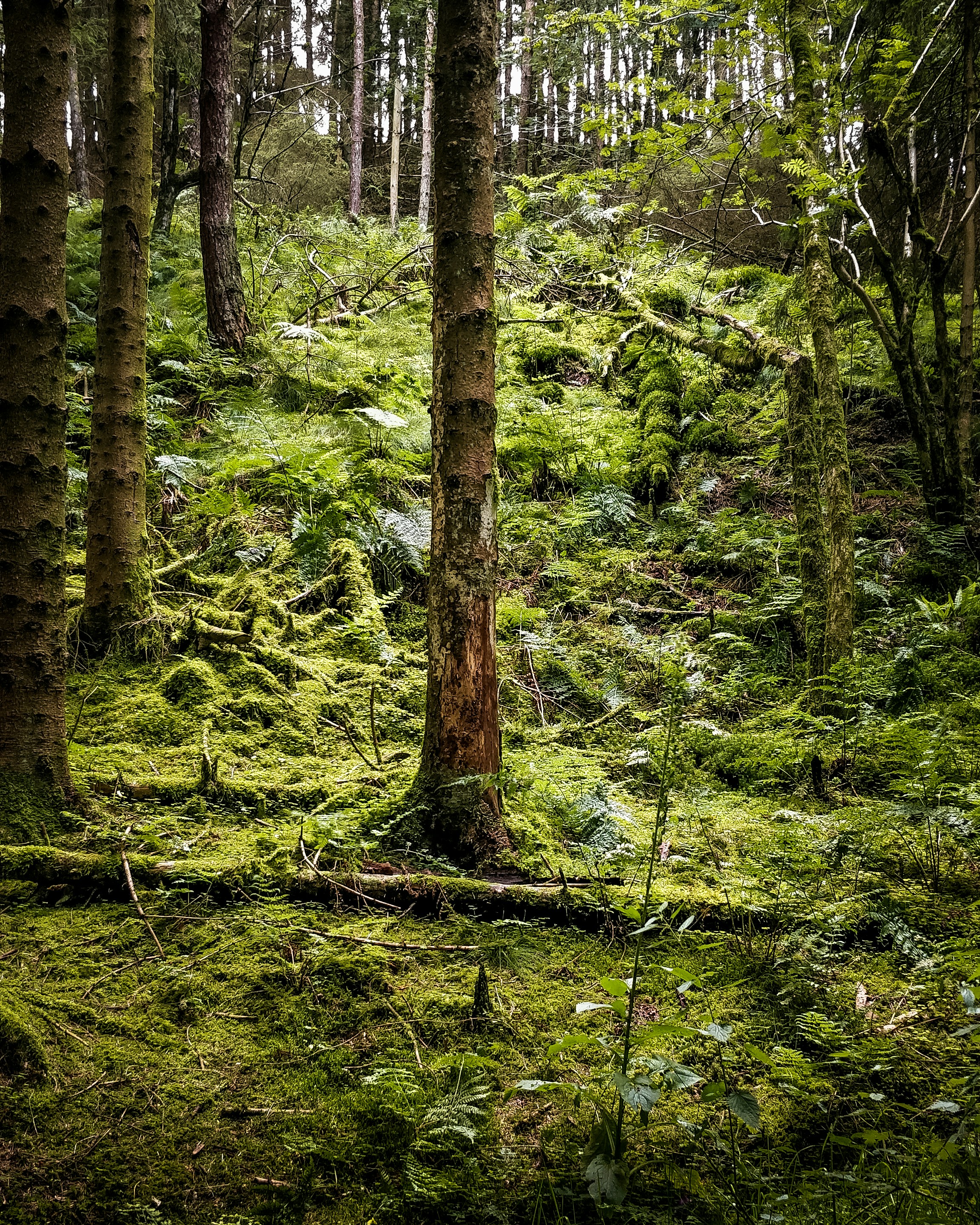 Photo by illiyapresents