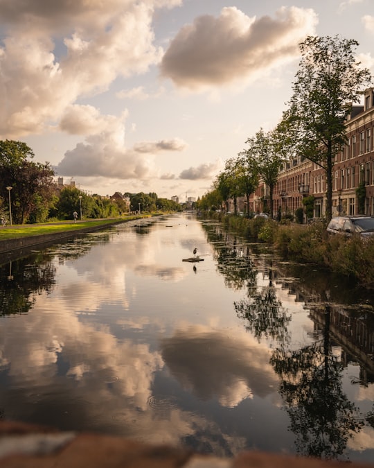 green trees beside river under cloudy sky during daytime in Watergraafsmeer Netherlands