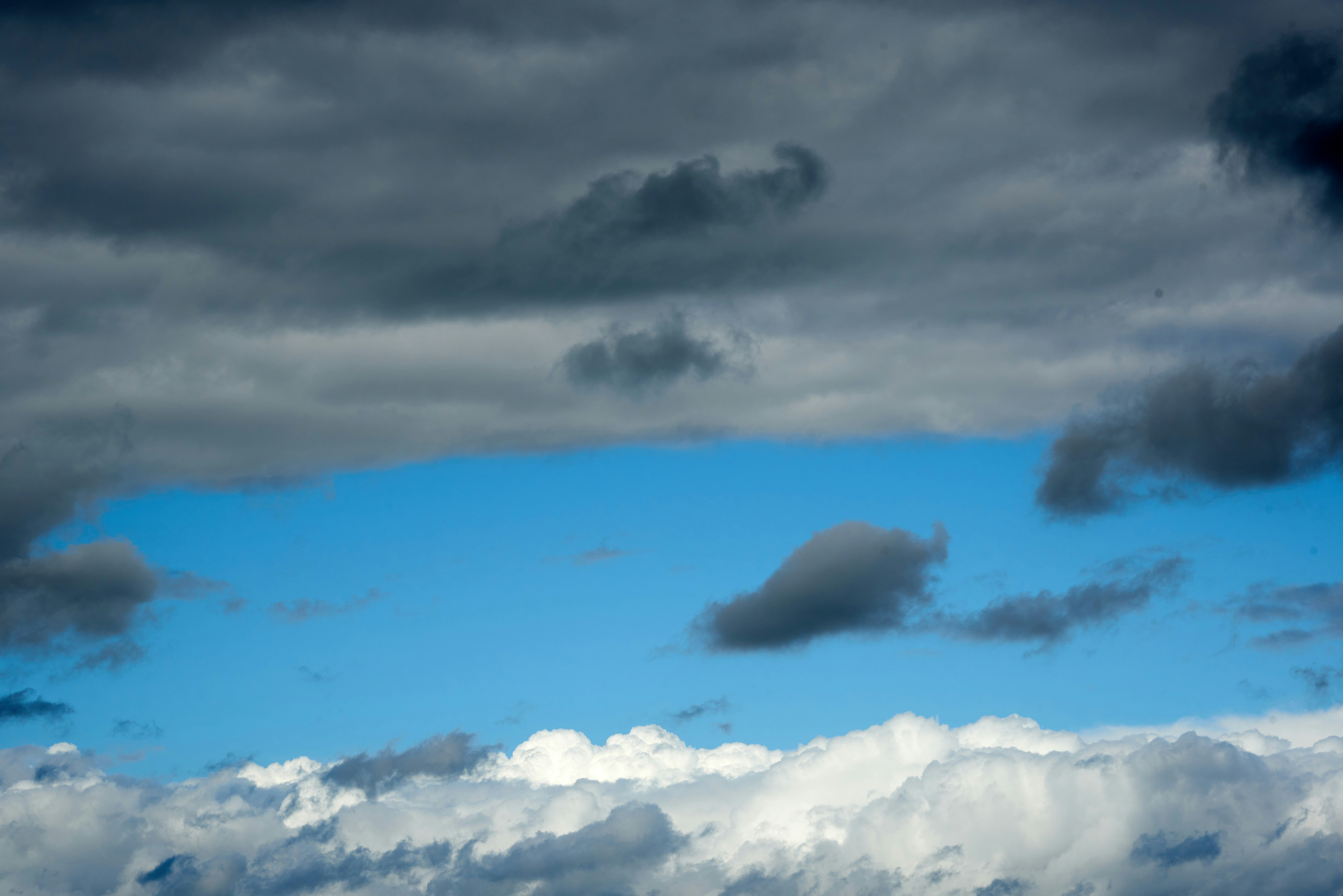 Photo by gunnarridder