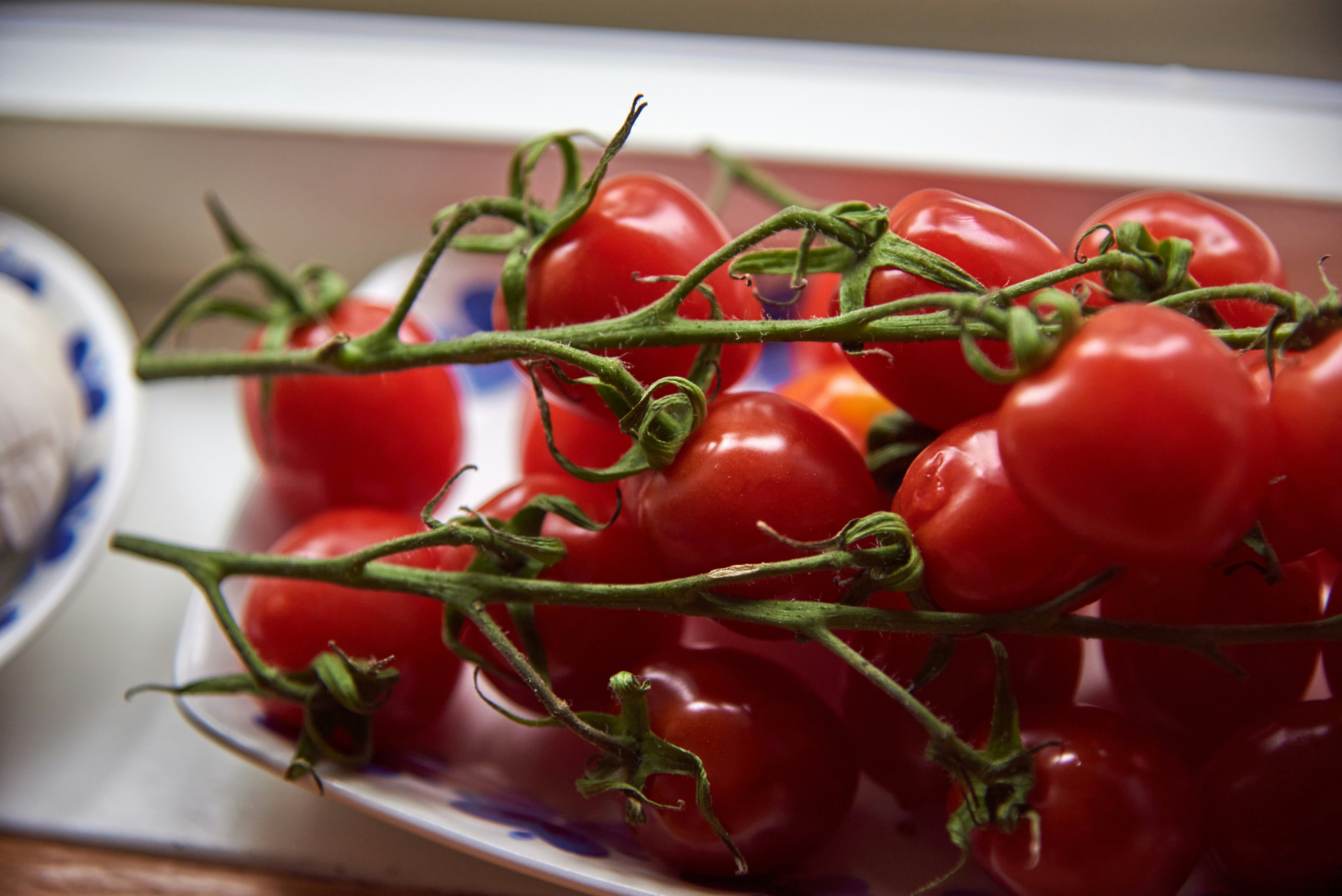 Photo by gunnarridder