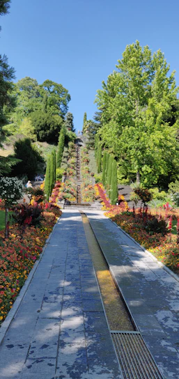 A vibrant garden freshly trimmed with colorful flowers and neat pathways under a bright sky.