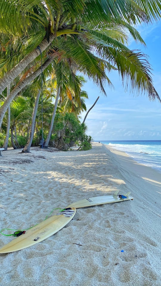 white and blue surfboard on beach during daytime in Gnaviyani Maldives