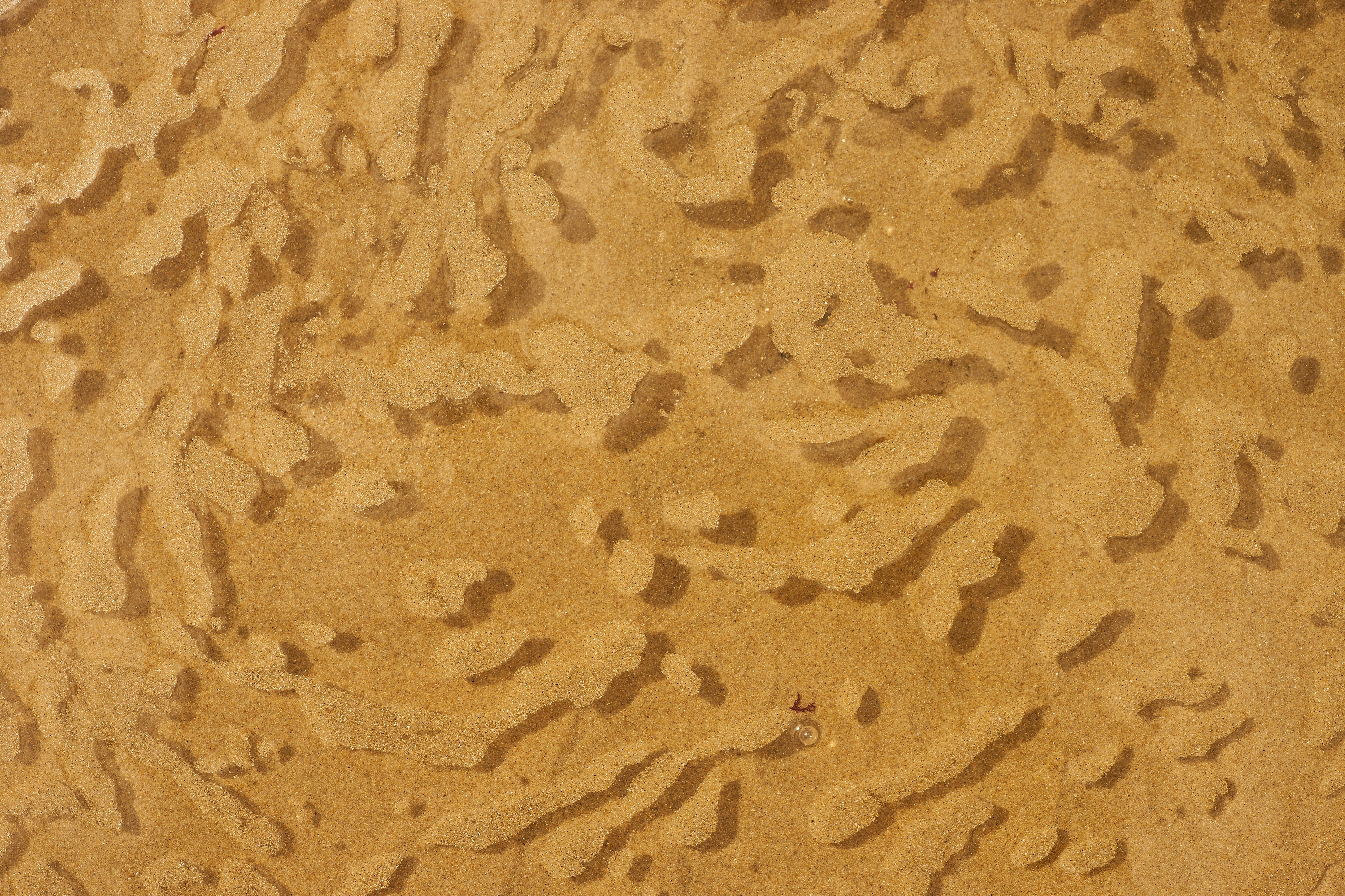 Shabu Shabu header image