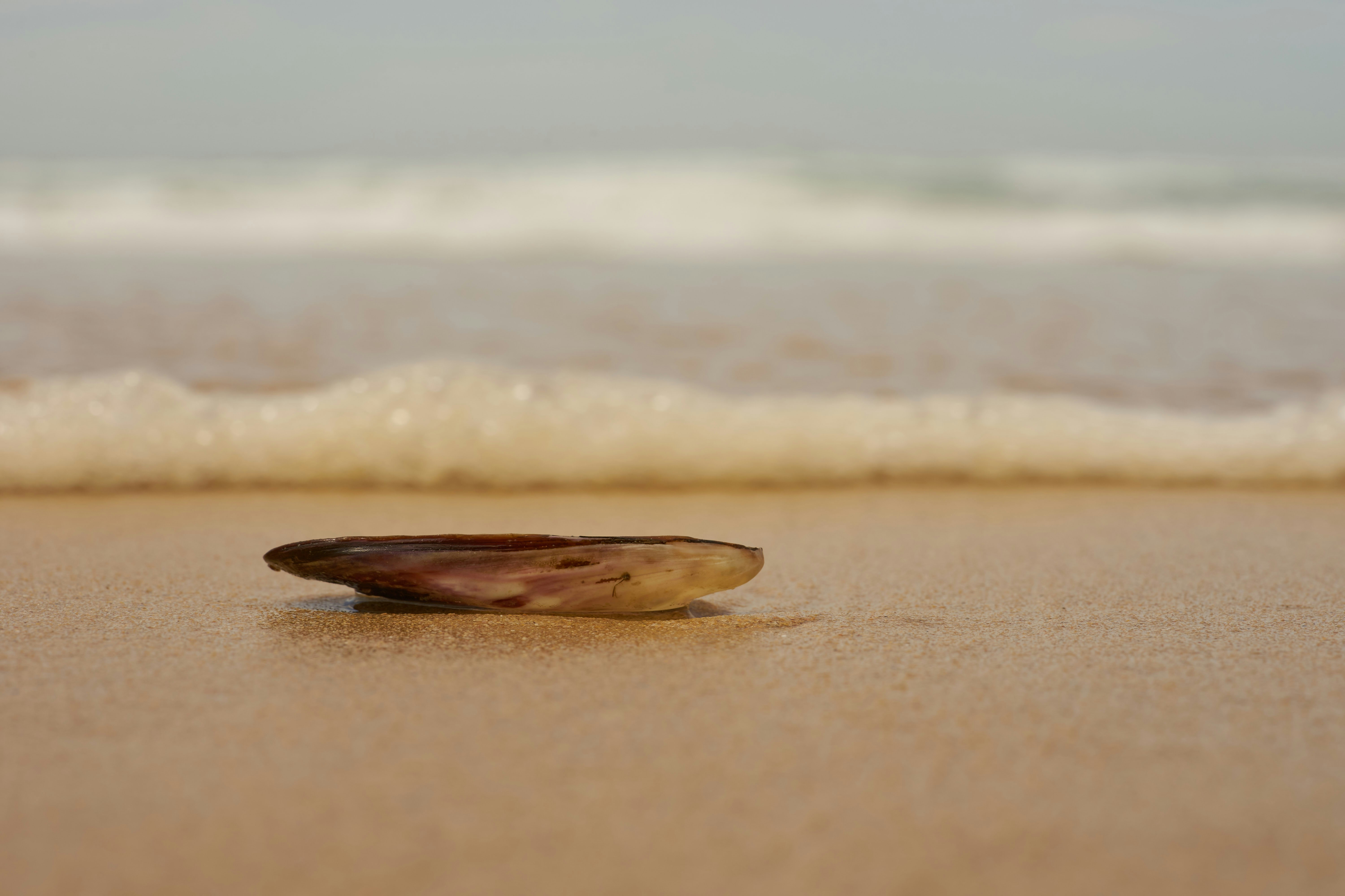 연금저축펀드 포트폴리오, ETF vs 액티브 펀드 뭐가 좋을까?