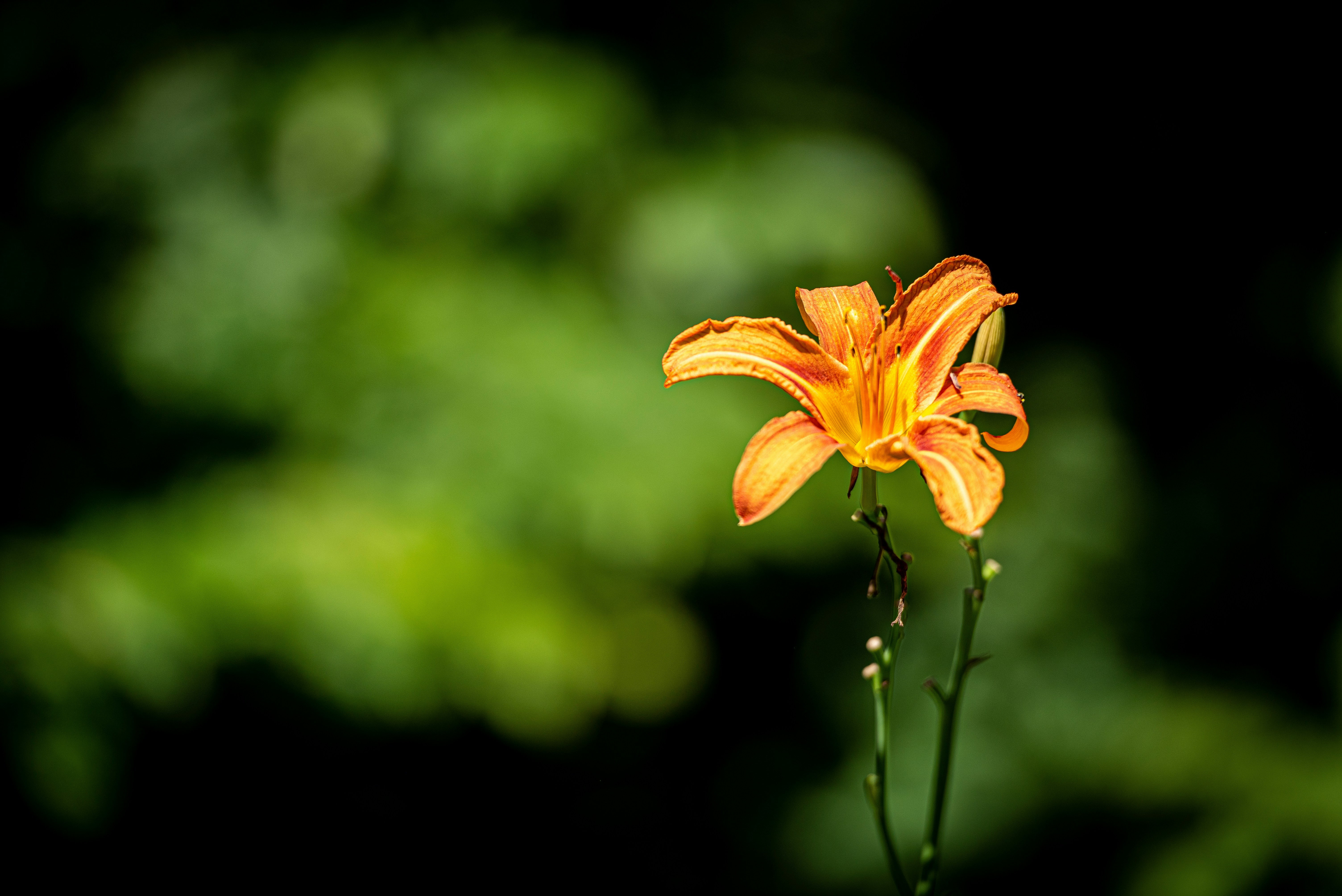 Photo by numericcitizen