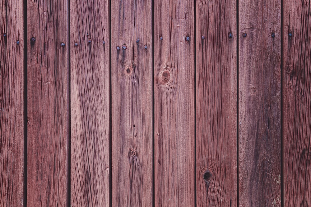 clôture en bois vert pendant la journée