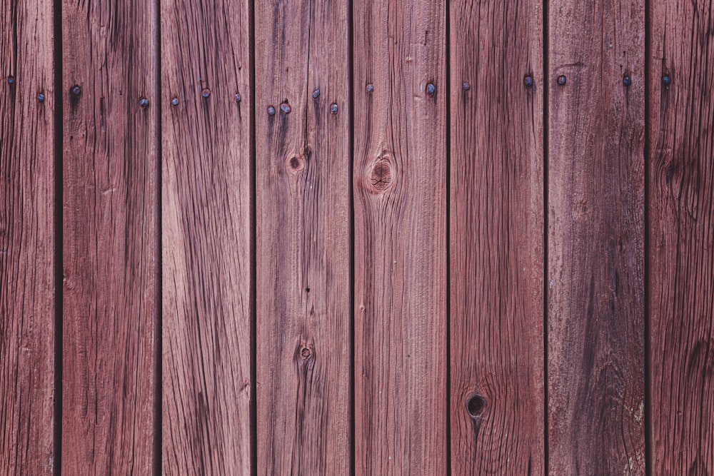 recinzione di legno verde durante il giorno
