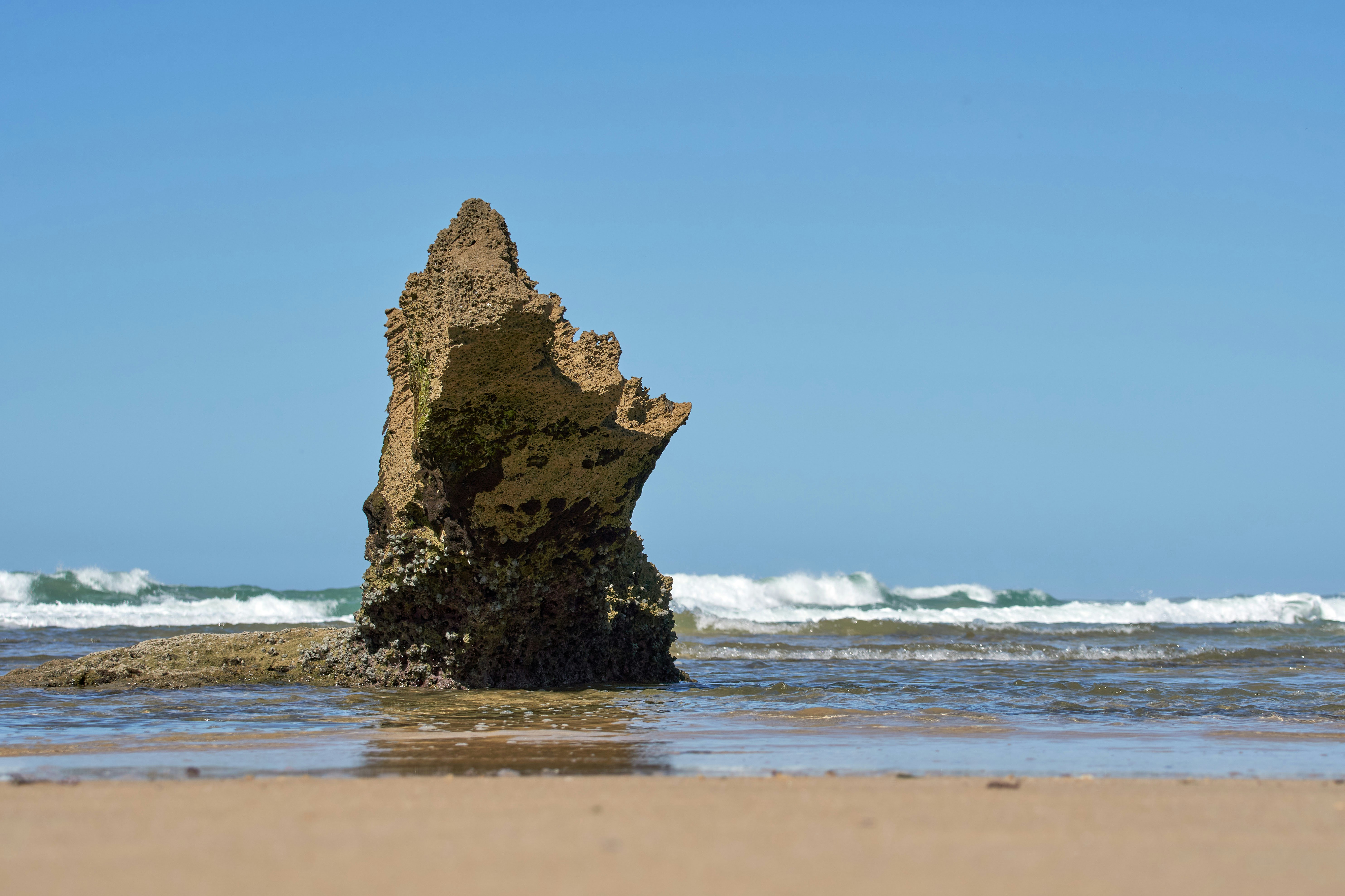 Photo by wolfgang_hasselmann