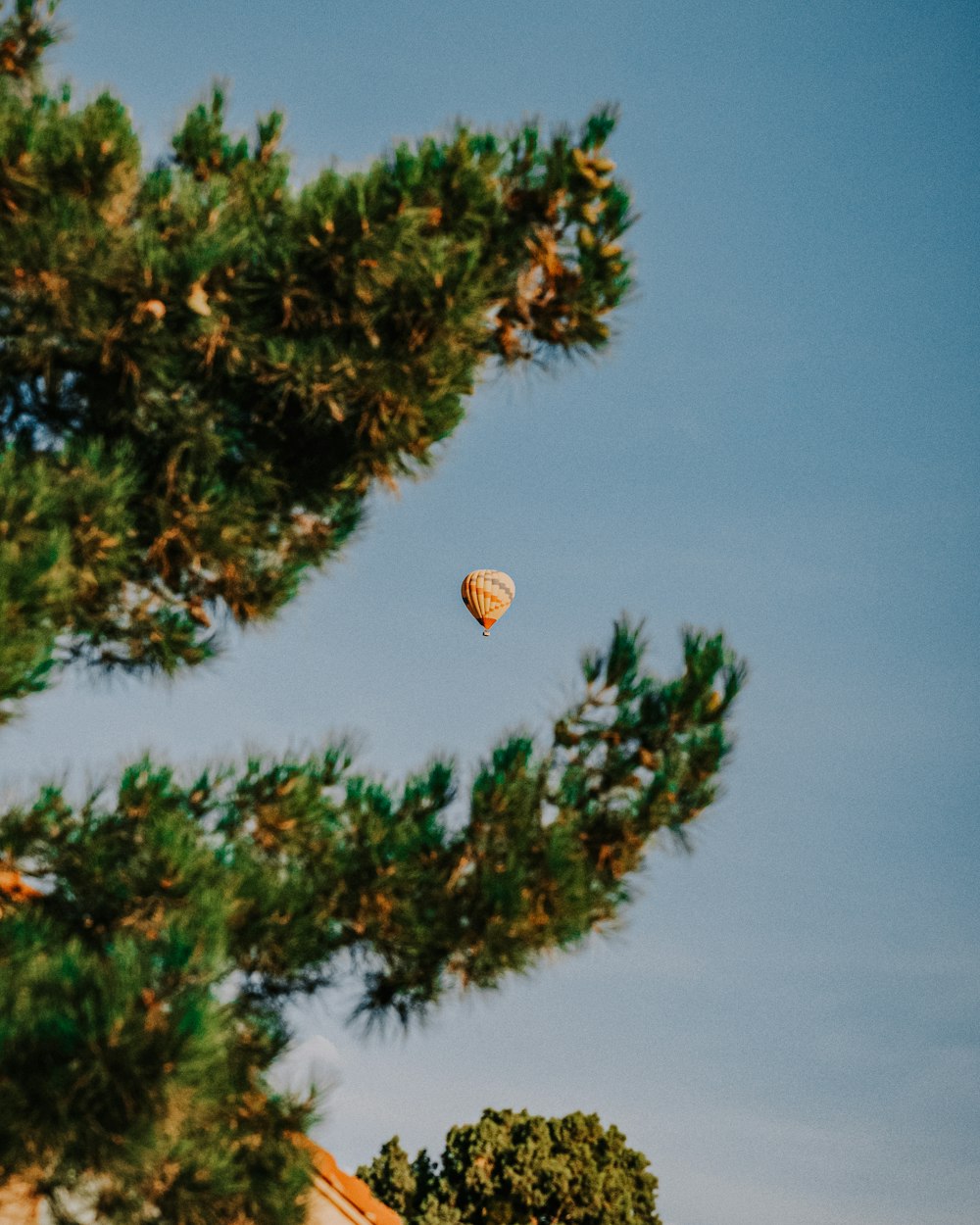 hot air balloon flying over green pine tree during daytime