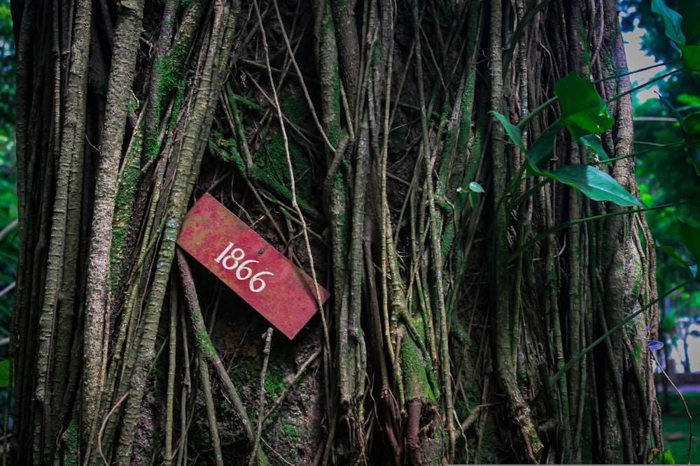 red and black wooden signage