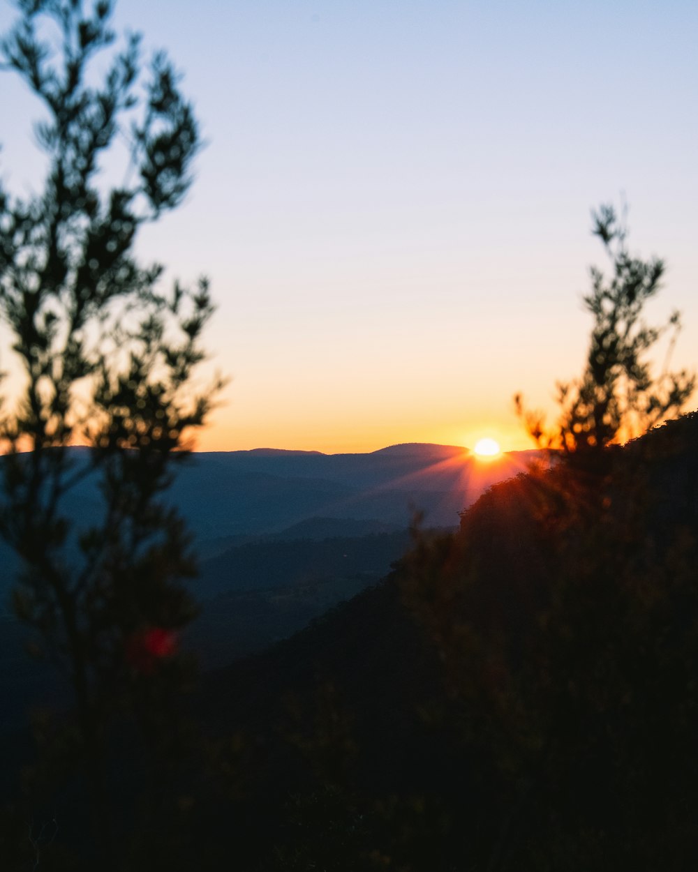 silhouette of trees during sunset