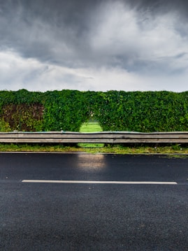 A dense hedge of lush green leaves with a rectangular gap in the center, revealing a bright green grassy field in the background. In front of the hedge, there is a gray metal guardrail and a wet asphalt road with a single pale line dividing it. The sky above is overcast with dark, moody clouds, suggesting an impending storm.