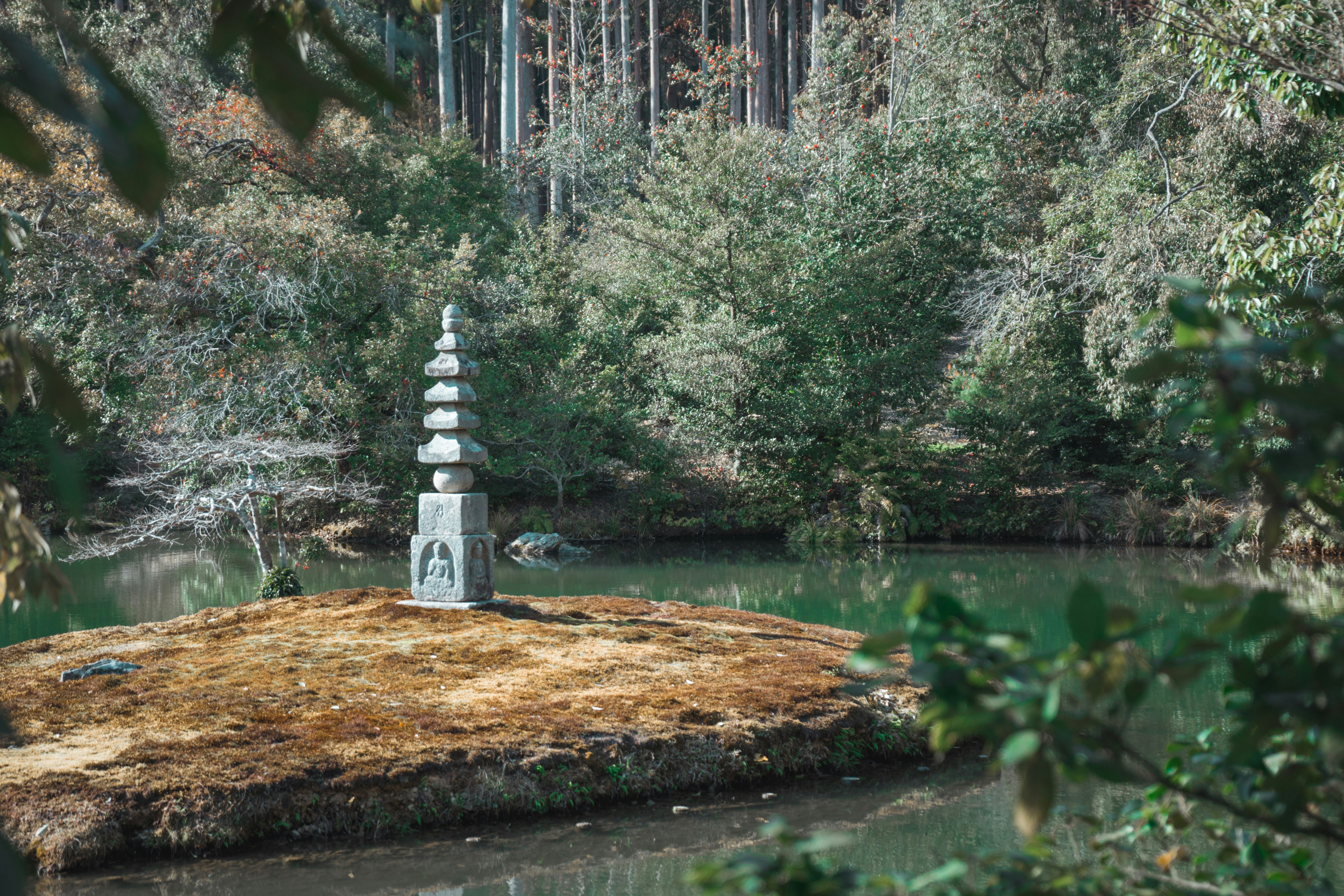 body of water between trees during daytime