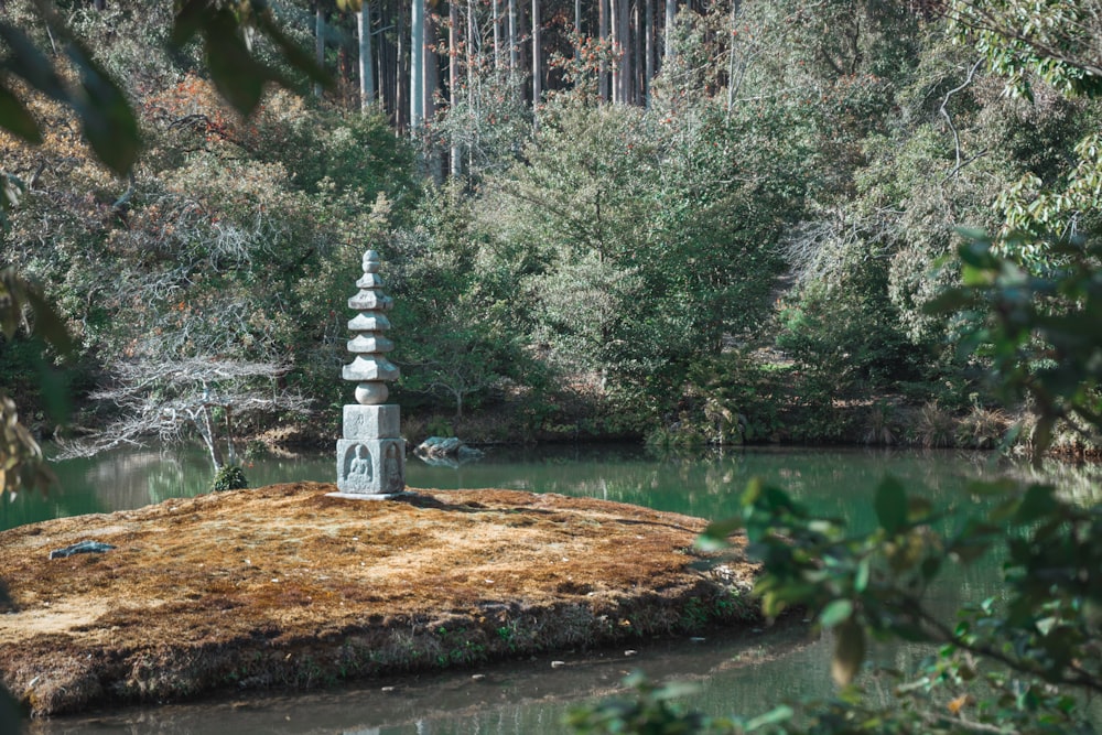 specchio d'acqua tra gli alberi durante il giorno