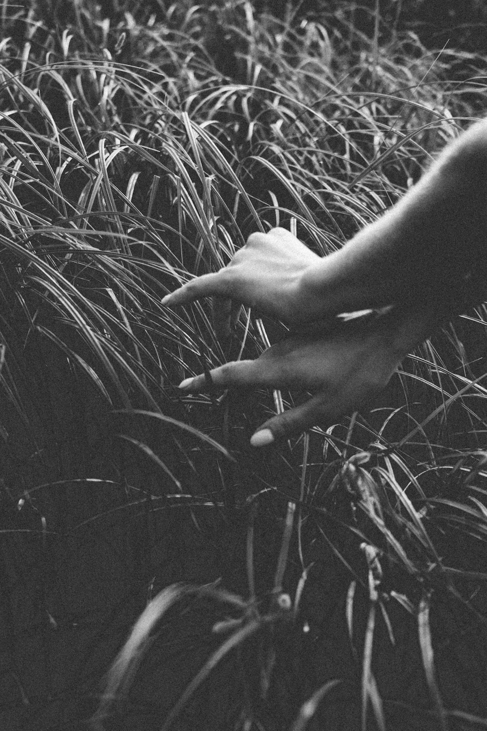 grayscale photo of persons hand