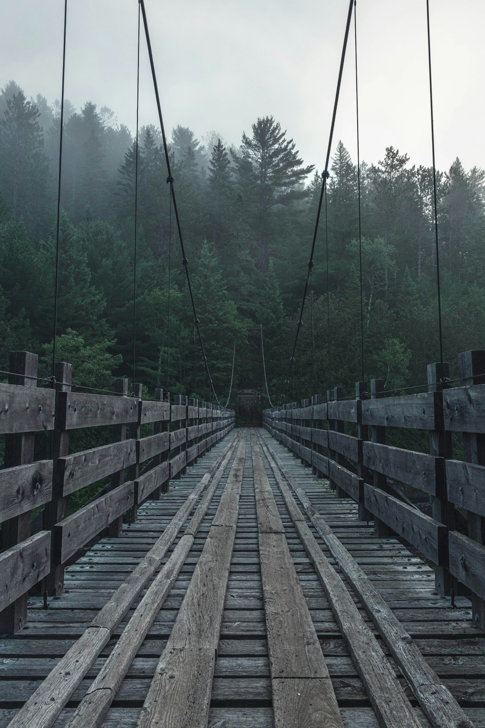 brown wooden bridge in the forest