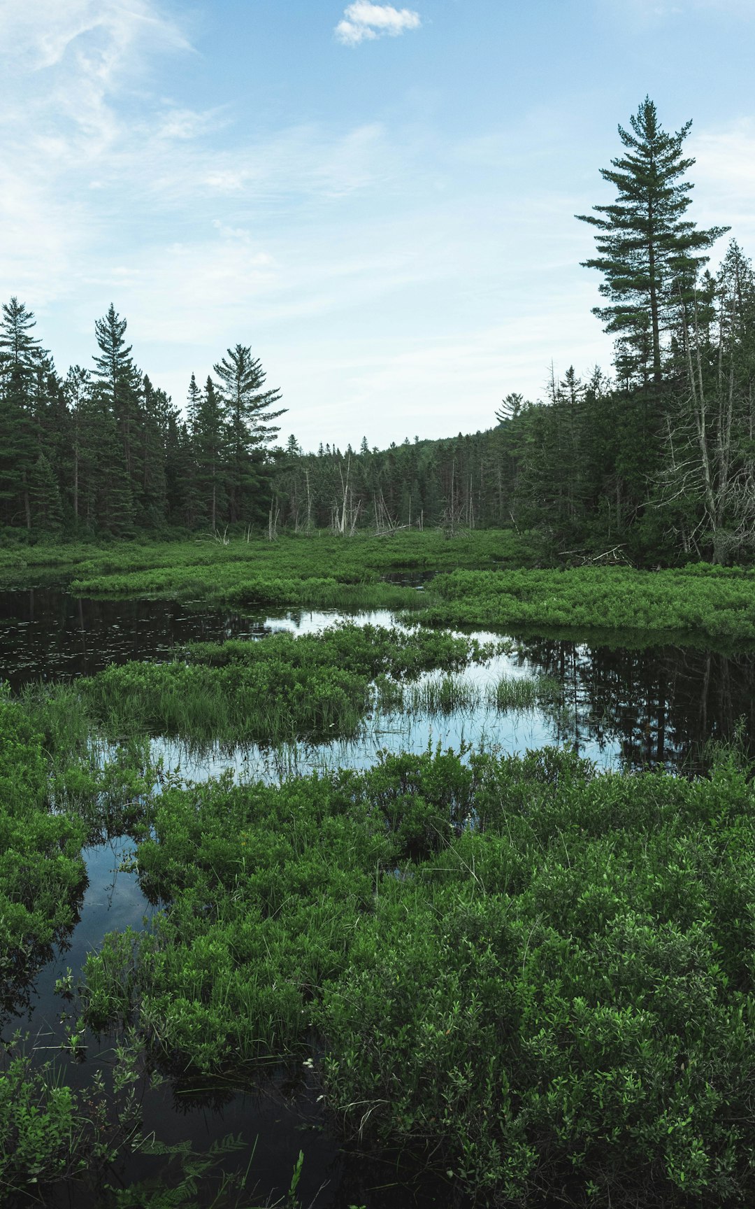 Nature reserve photo spot Regional Park Forest Ouareau Mont-Tremblant National Park