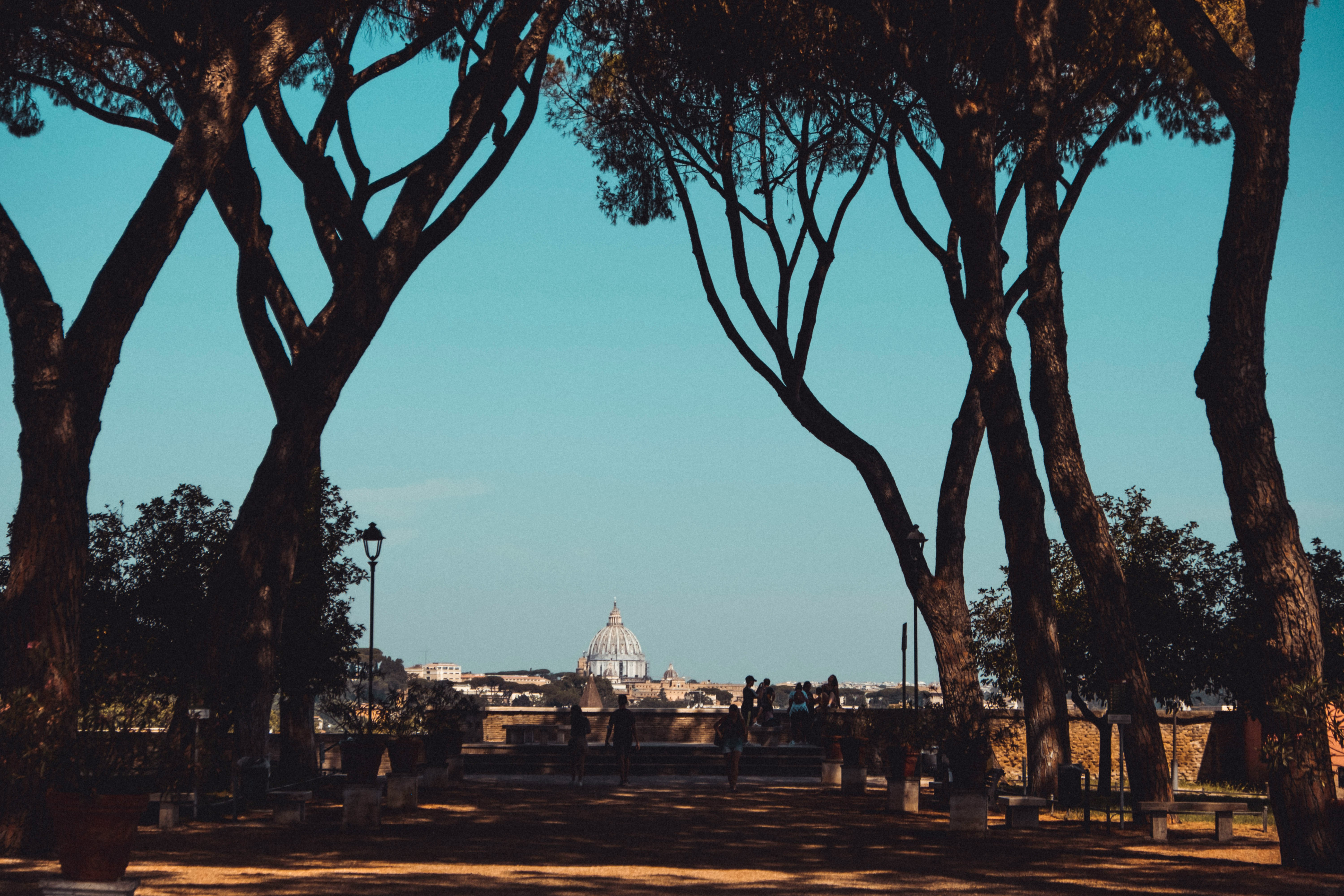 people walking on park during sunset