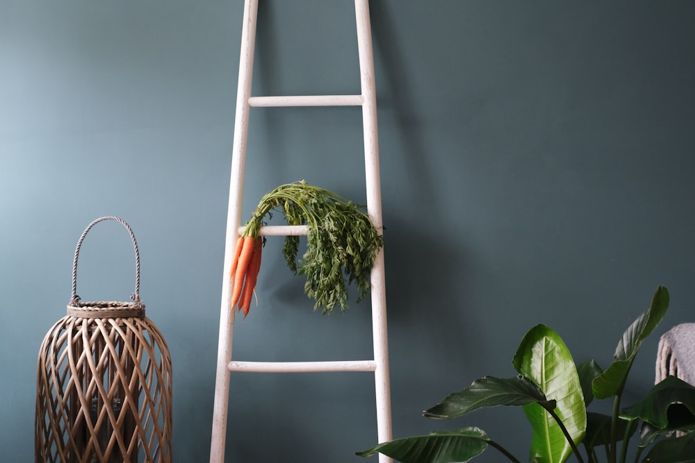 green plant on white wooden ladder