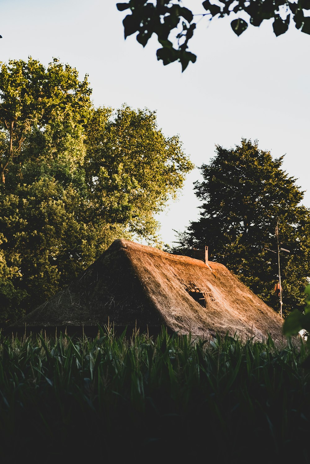 brown wooden house near green trees during daytime