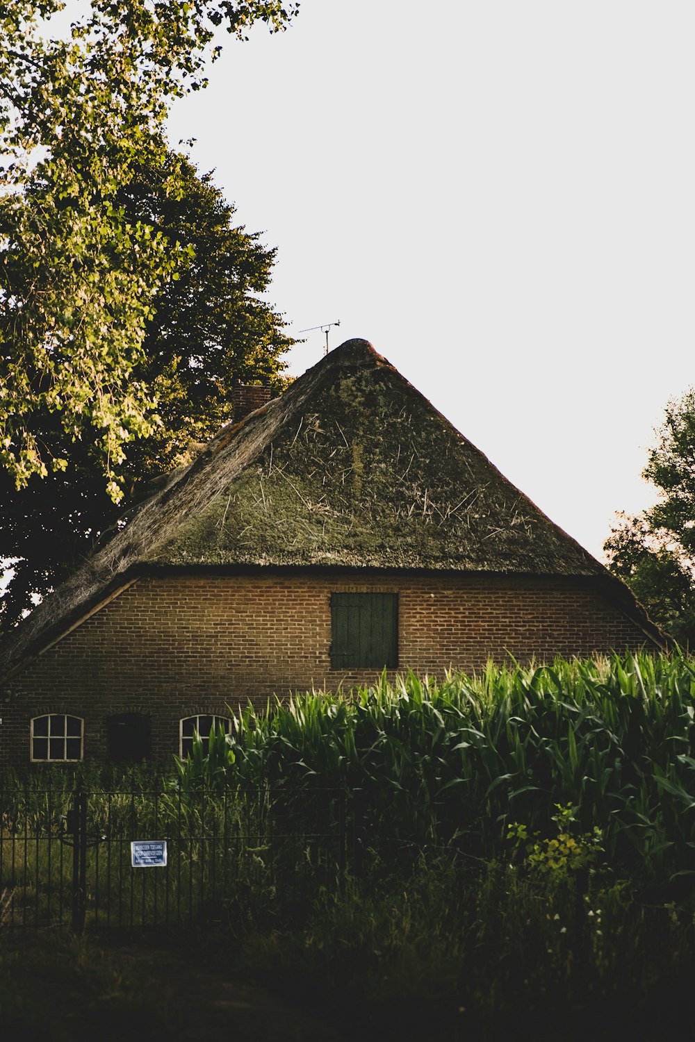 brown wooden house near green trees during daytime