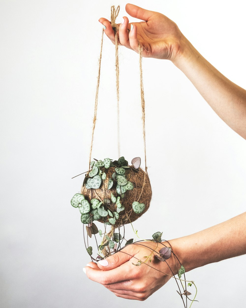 person holding green and brown hanging decor