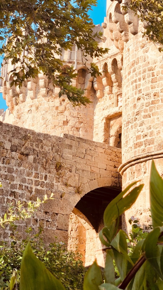 brown brick wall with green plants in Rhodes Greece