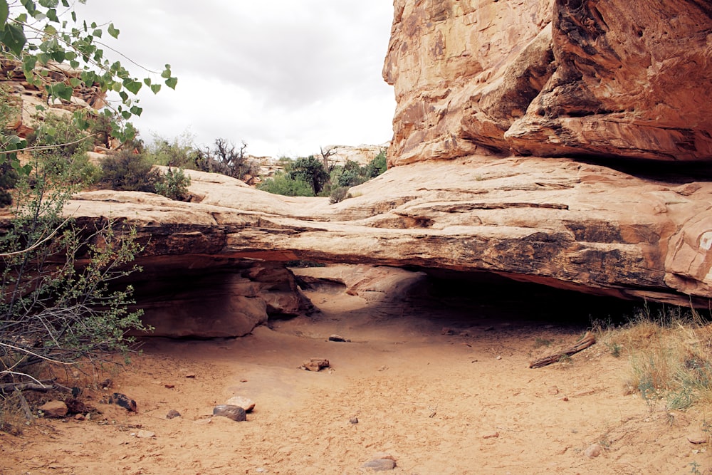 brown rock formation near green trees during daytime