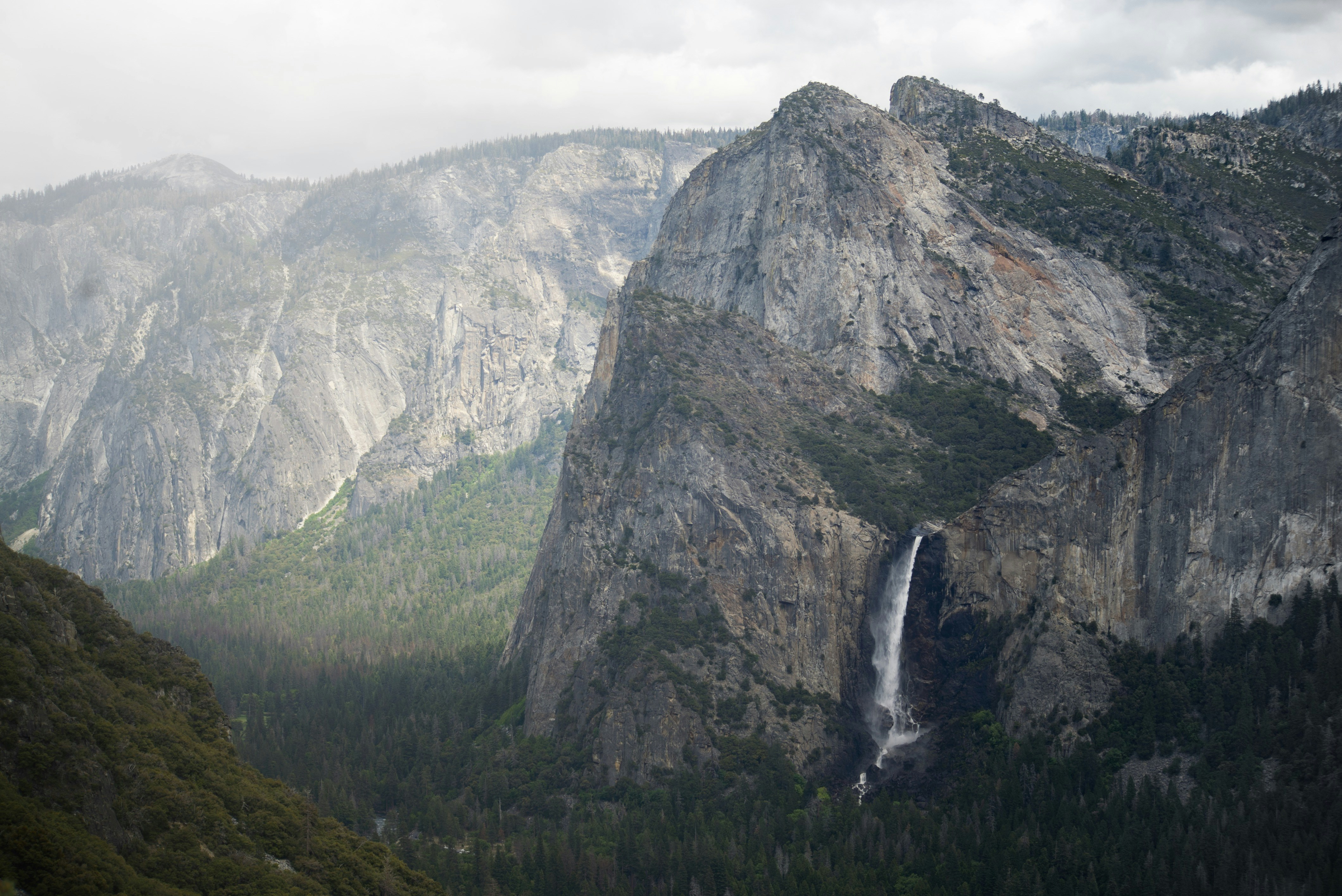 Photo by tribalvideo