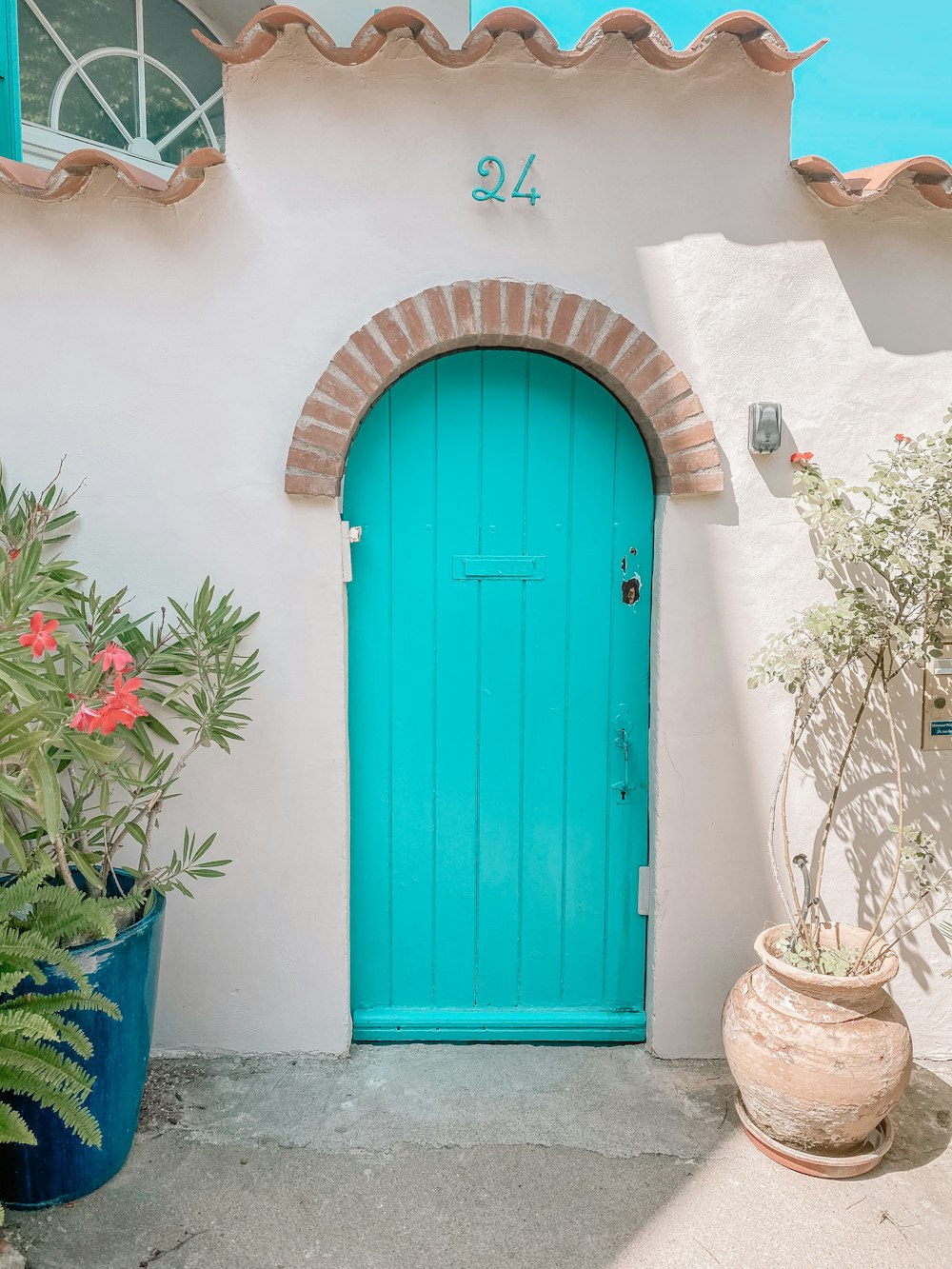 puerta de madera azul junto a una planta en maceta verde