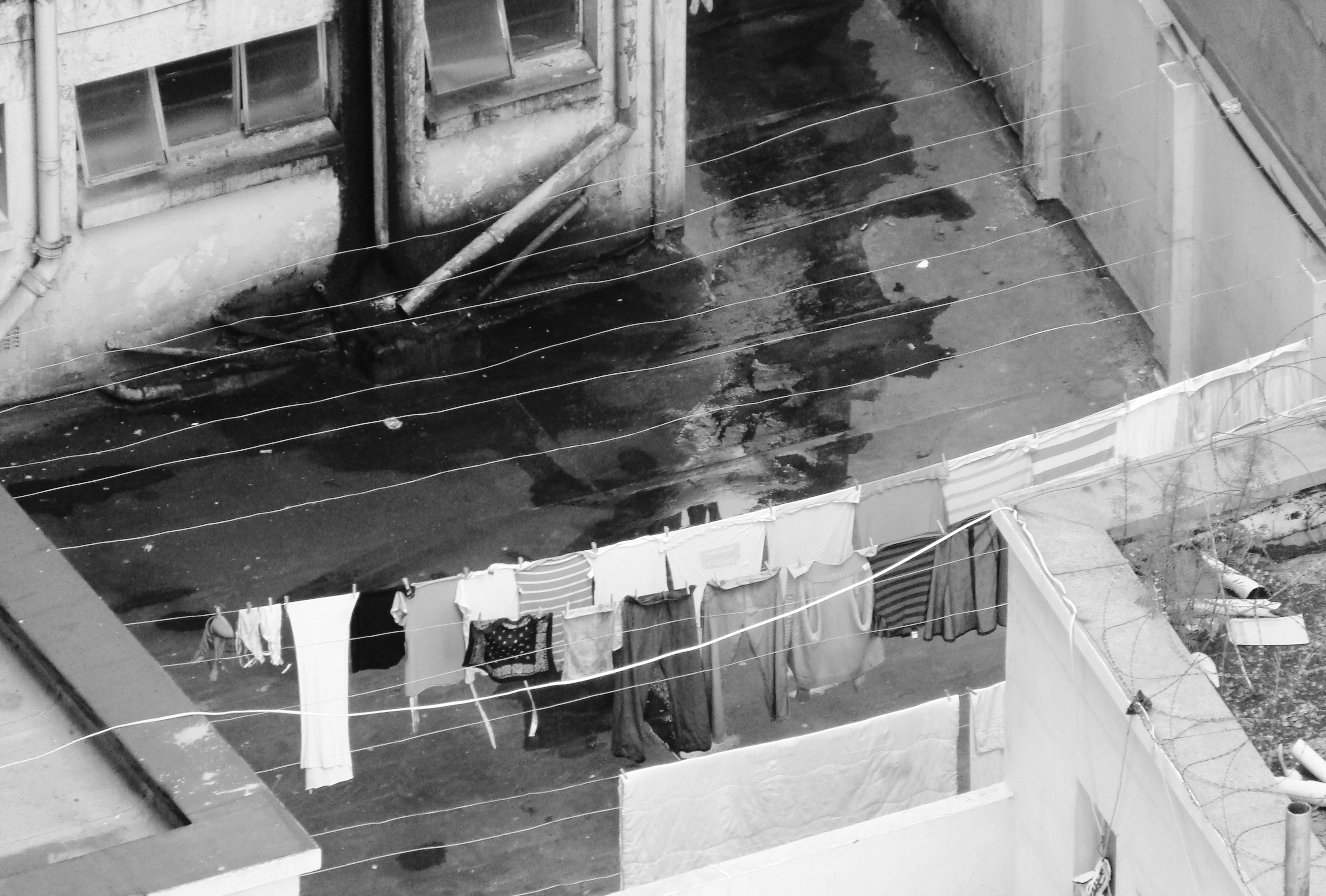 Photo by henniestander