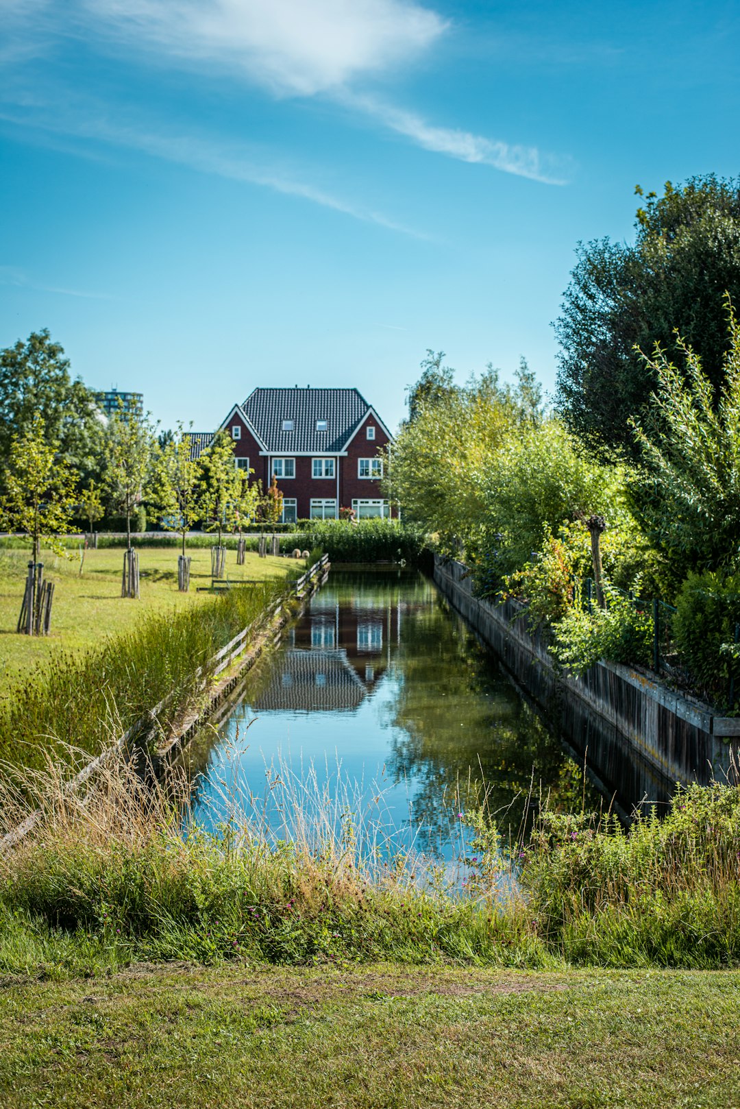 brown wooden house near green trees and river during daytime