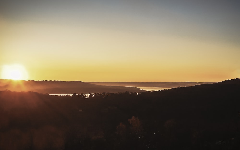 silhouette of trees during sunset