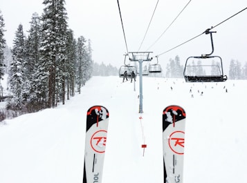 A snowy ski resort with tall pine trees lining the left side and ski lifts running across the scene. In the foreground, two skis with a red and black design are visible, suggesting someone is seated on the ski lift. In the background, several skiers can be seen navigating the slopes, creating a lively winter sports atmosphere.
